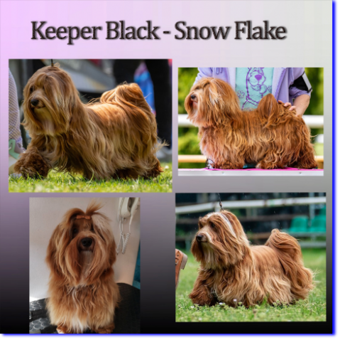 KEEPER BLACK-SNOW FLAKE